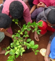  TOGETHER, WE ARE GROWING A SUSTAINABLE ECOSYSTEM 🌍