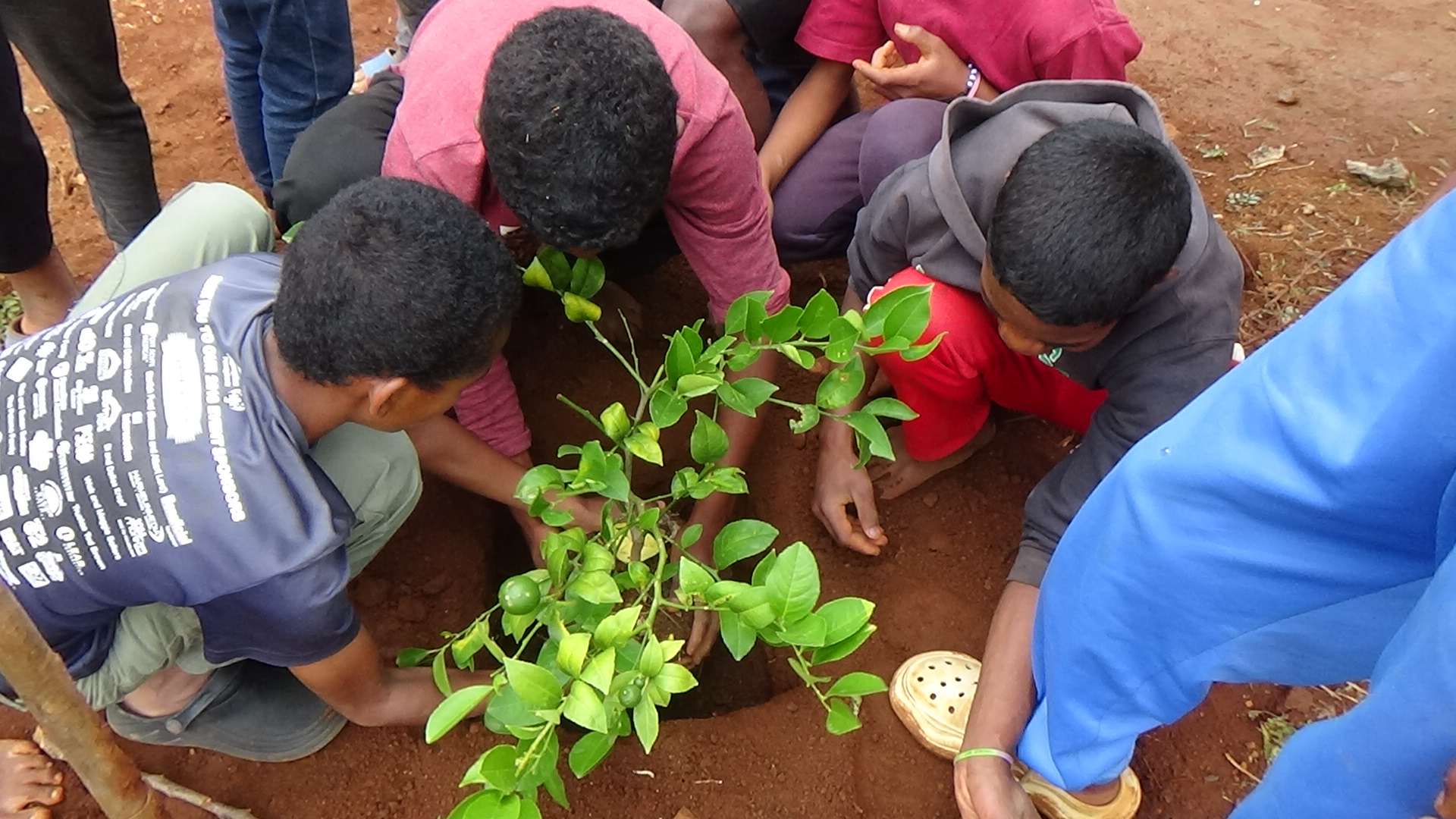 ENSEMBLE, NOUS FAISONS GRANDIR UN ÉCOSYSTÈME DURABLE 🌍